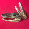 Small Taxidermy Gator Heads