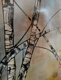 Original Canvas - Silver Birches - 100cm x 100cm