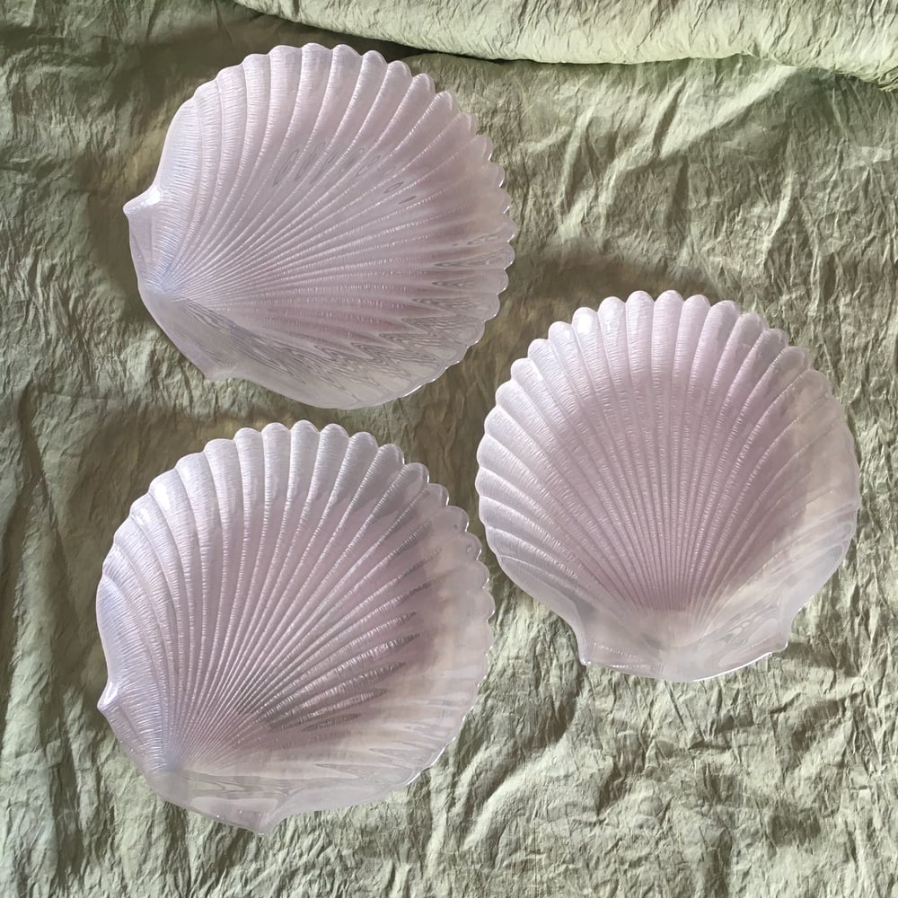 Image of  Glass shell dishes - Sold separately 