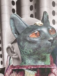 Image 4 of 'Cats Protection'
