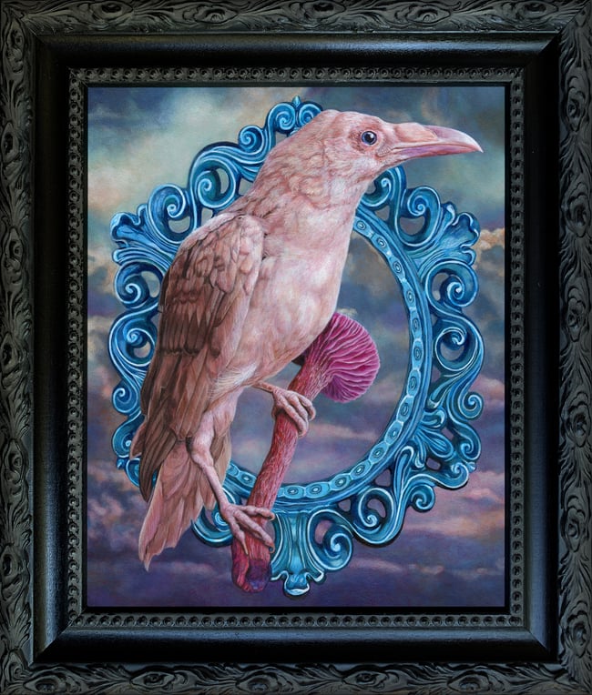 Laccaria Amethystina