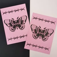 Butterfly print 