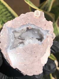 Image 4 of COCONUT GEODE (FACE POLISHED) WITH QUARTZ- MEXICO