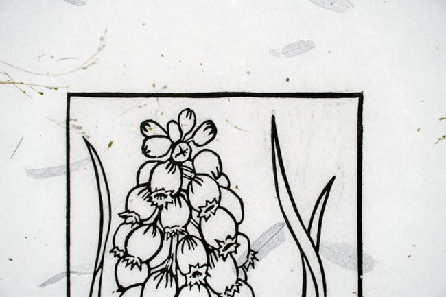 Blue Grape Hyacinth on Tamarind *Limited Edition of 5*