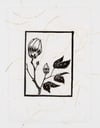 The Twig Flower