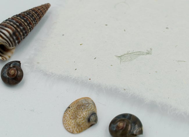 Fabulous Hair - Green - retired