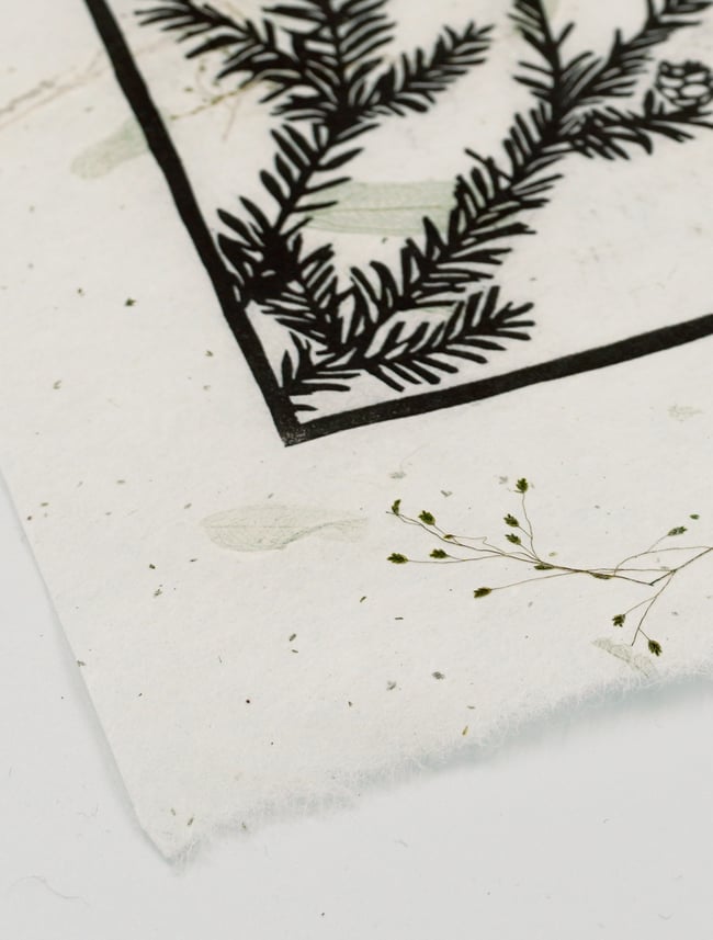 Juniper on tamarind green *Limited Edition of 5*