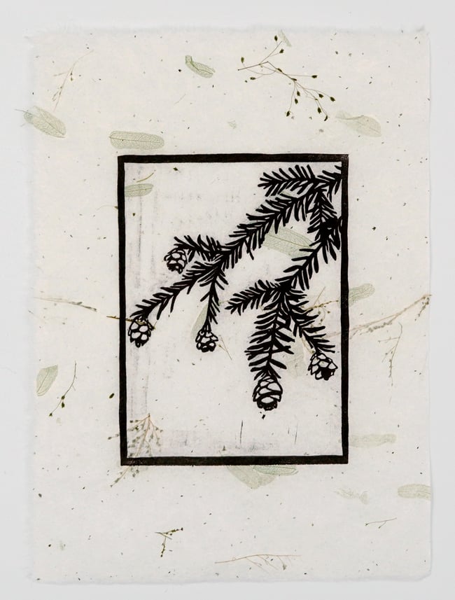 Juniper on tamarind green *Limited Edition of 5*