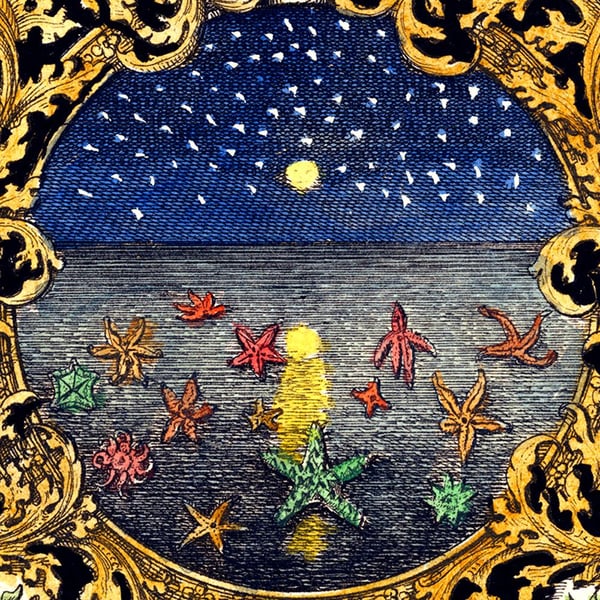 Image of Starry Night Silk Scarf for John Derian