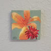 Biltmore Blooms - Day Lily