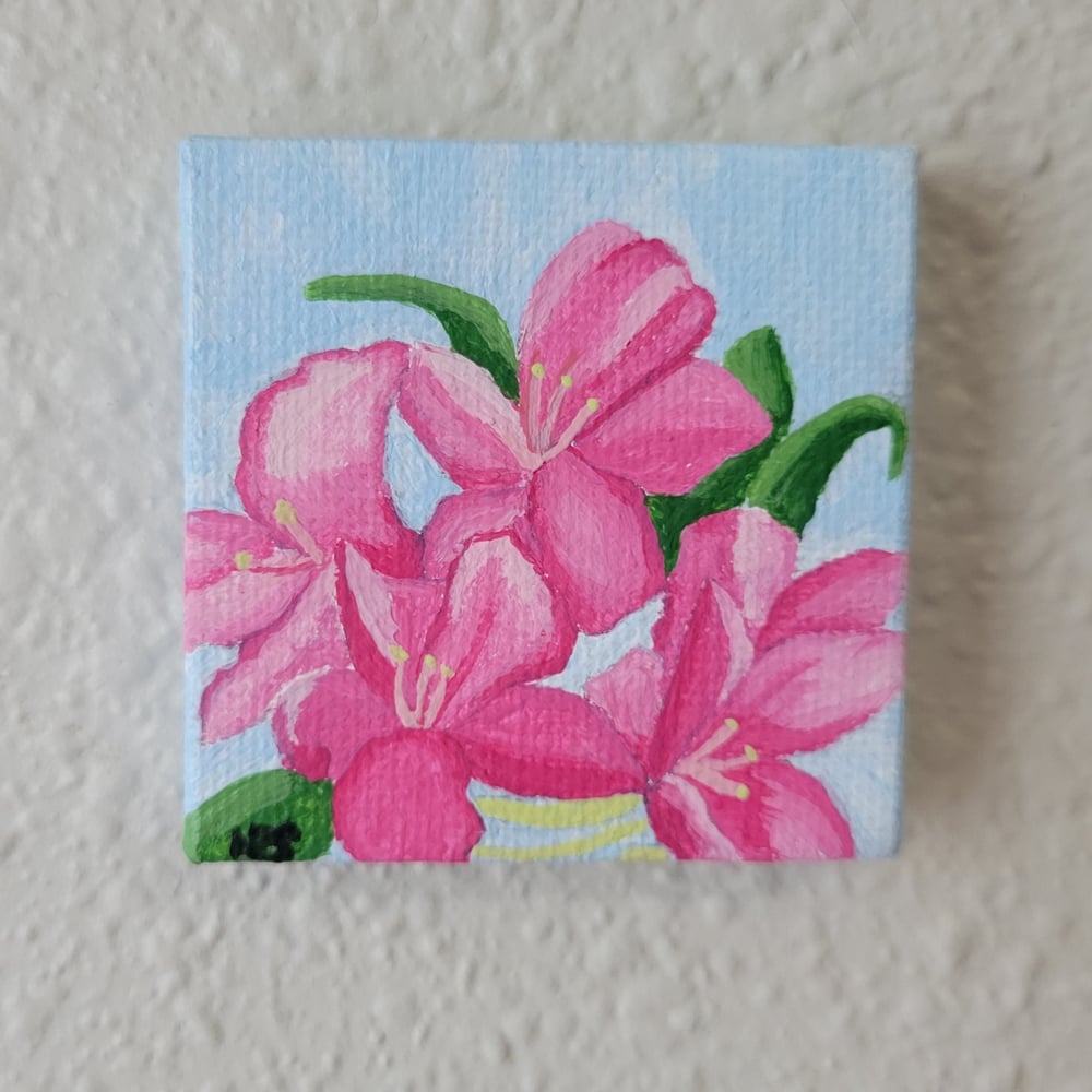Biltmore Blooms - Azaleas