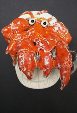 Hermit crab in a tin