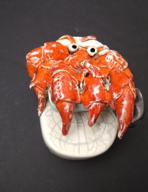 Hermit crab in a tin