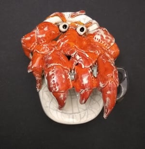 Hermit crab in a tin