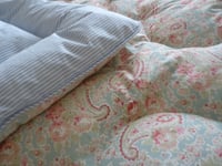 Image 2 of Pretty Double Paisley in Sarah Hardaker Duck egg & Stripe Fabric