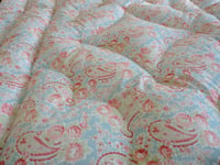 Image 3 of Pretty Double Paisley in Sarah Hardaker Duck egg & Stripe Fabric