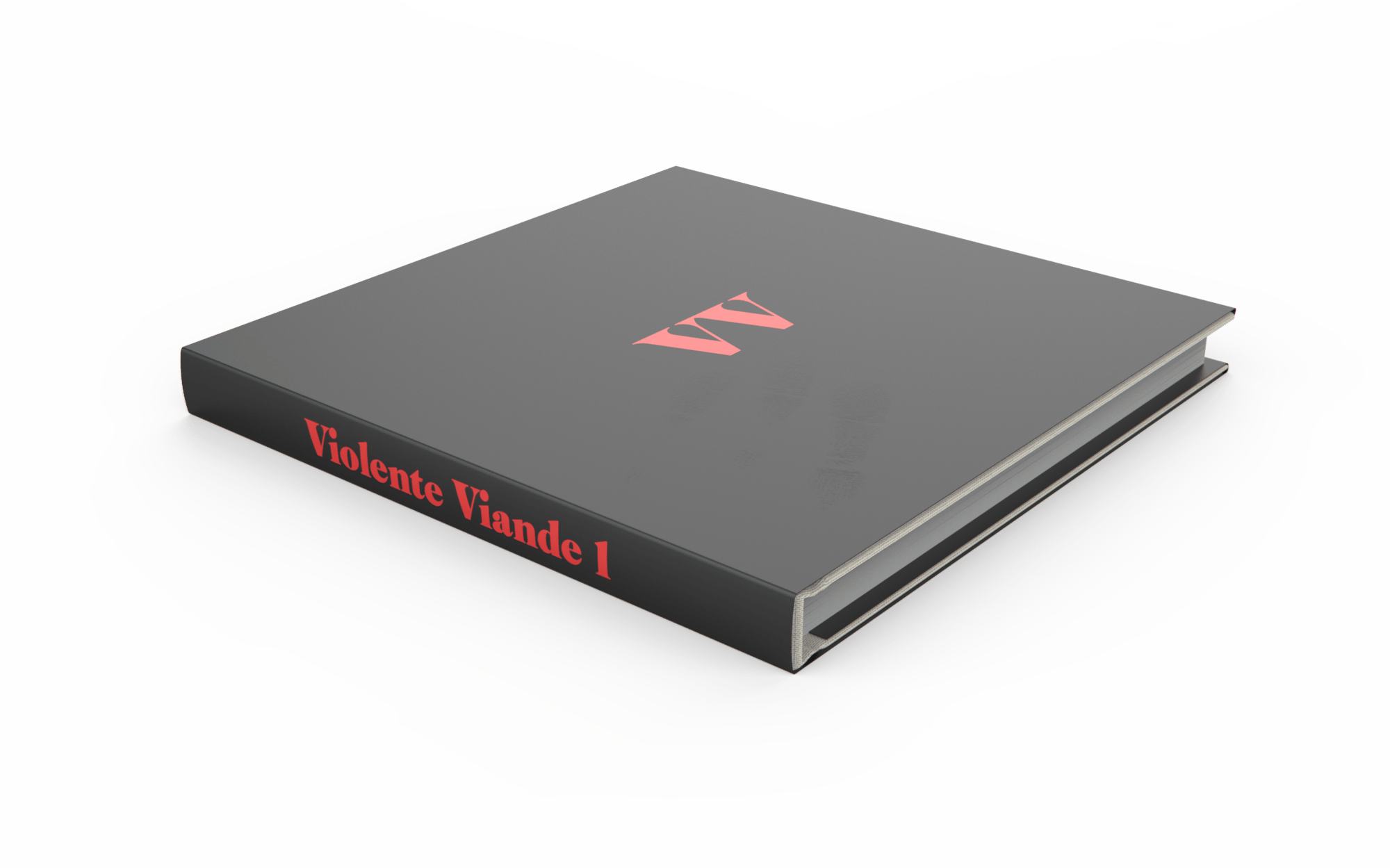 Image of VV1 : Putain encore un livre 