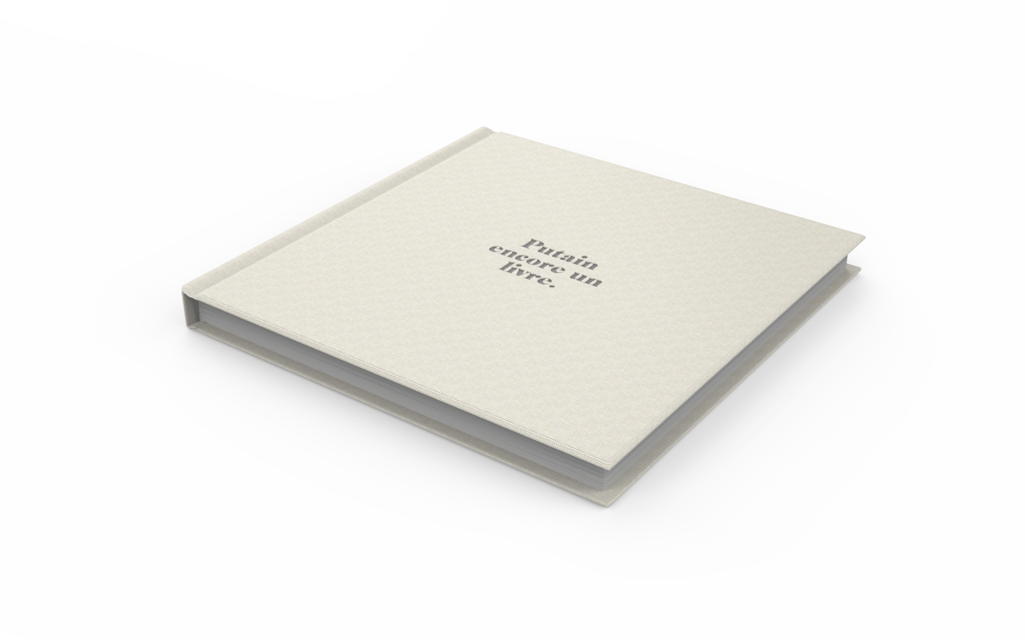 Image of VV1 : Putain encore un livre