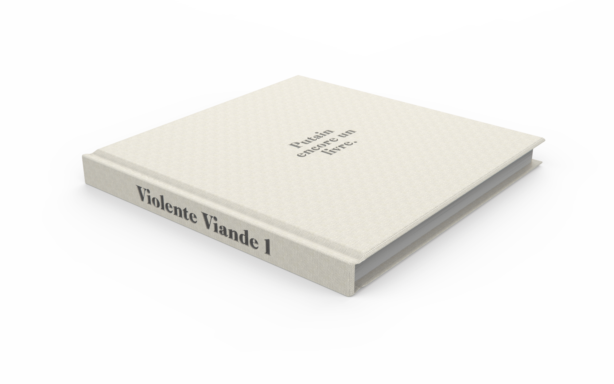 Image of VV1 : Putain encore un livre 