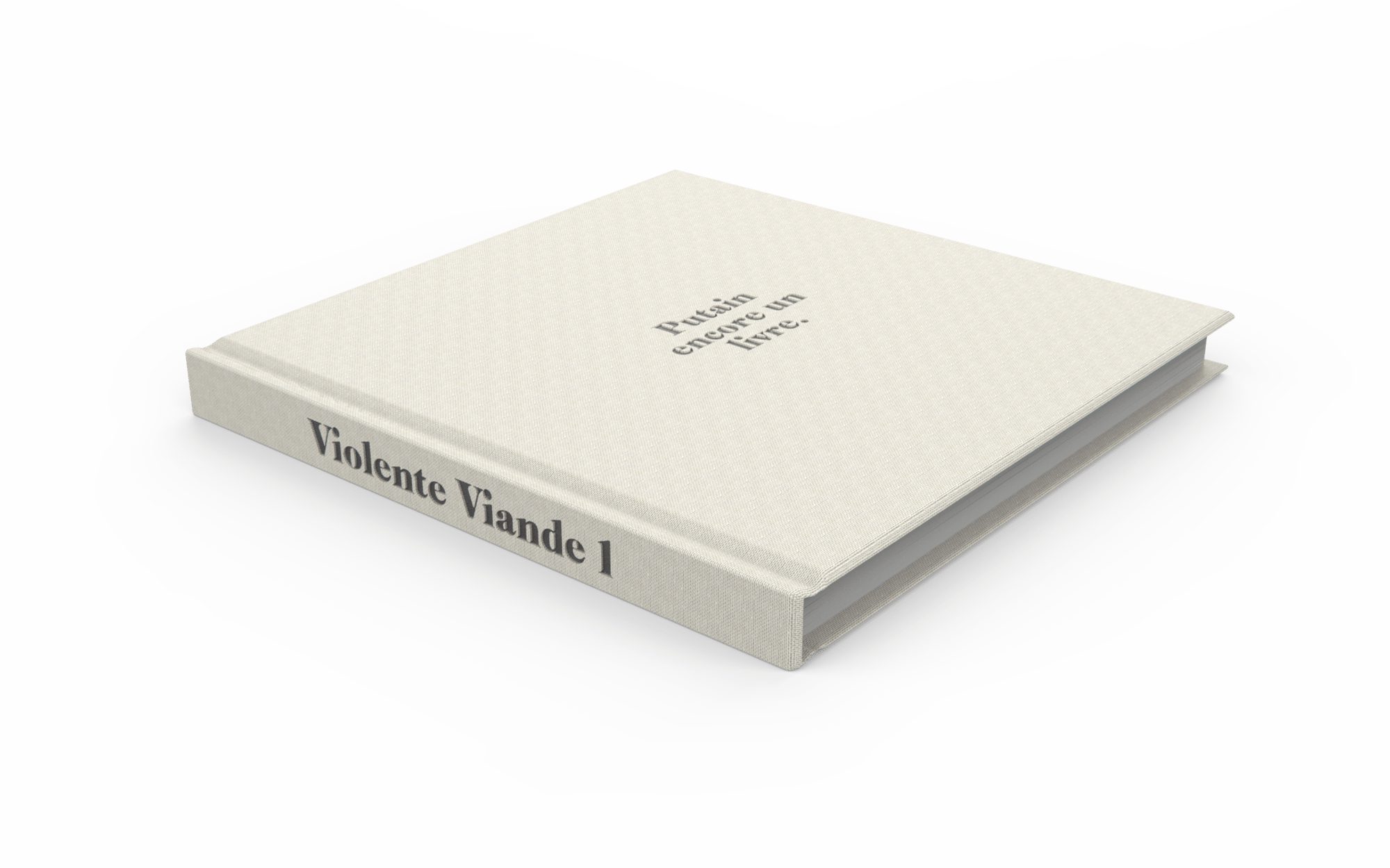 Image of VV1 : Putain encore un livre