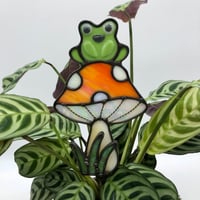 Image 2 of Mushroom and frog plant buddy 