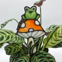 Mushroom and frog plant buddy 