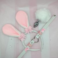 Bunny Rabbit Plug PetPlay Set 