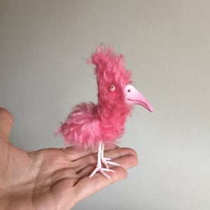 Image of Claude the Tiny Bird