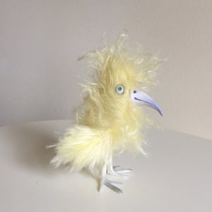 Image of Ellington  the Tiny Bird