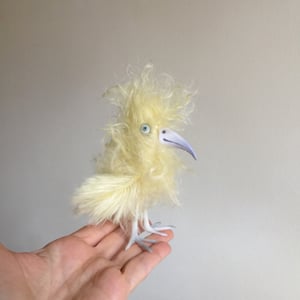 Image of Ellington  the Tiny Bird
