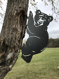 Image 2 of Bear Cub