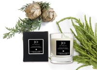 Coastal Cypress & Sea Fennel