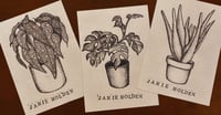 Image 1 of House Plants Print Set