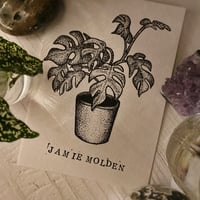 Image 4 of House Plants Print Set