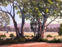 Gums In The Red Centre