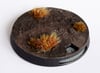 Wound Counter Bases