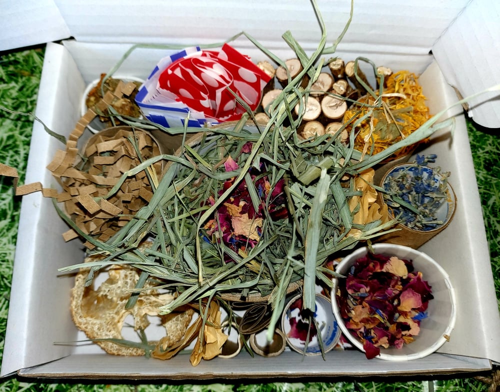 Image of Enrichment forage box