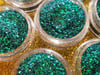 Dragon Scales Fine Glitter🐉