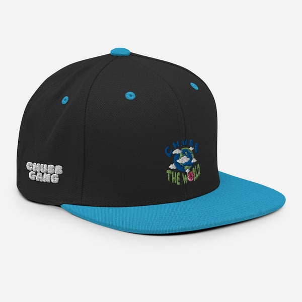 Image of C.H.U.B.B. The World (Doughnut Edition) Snapback Hats