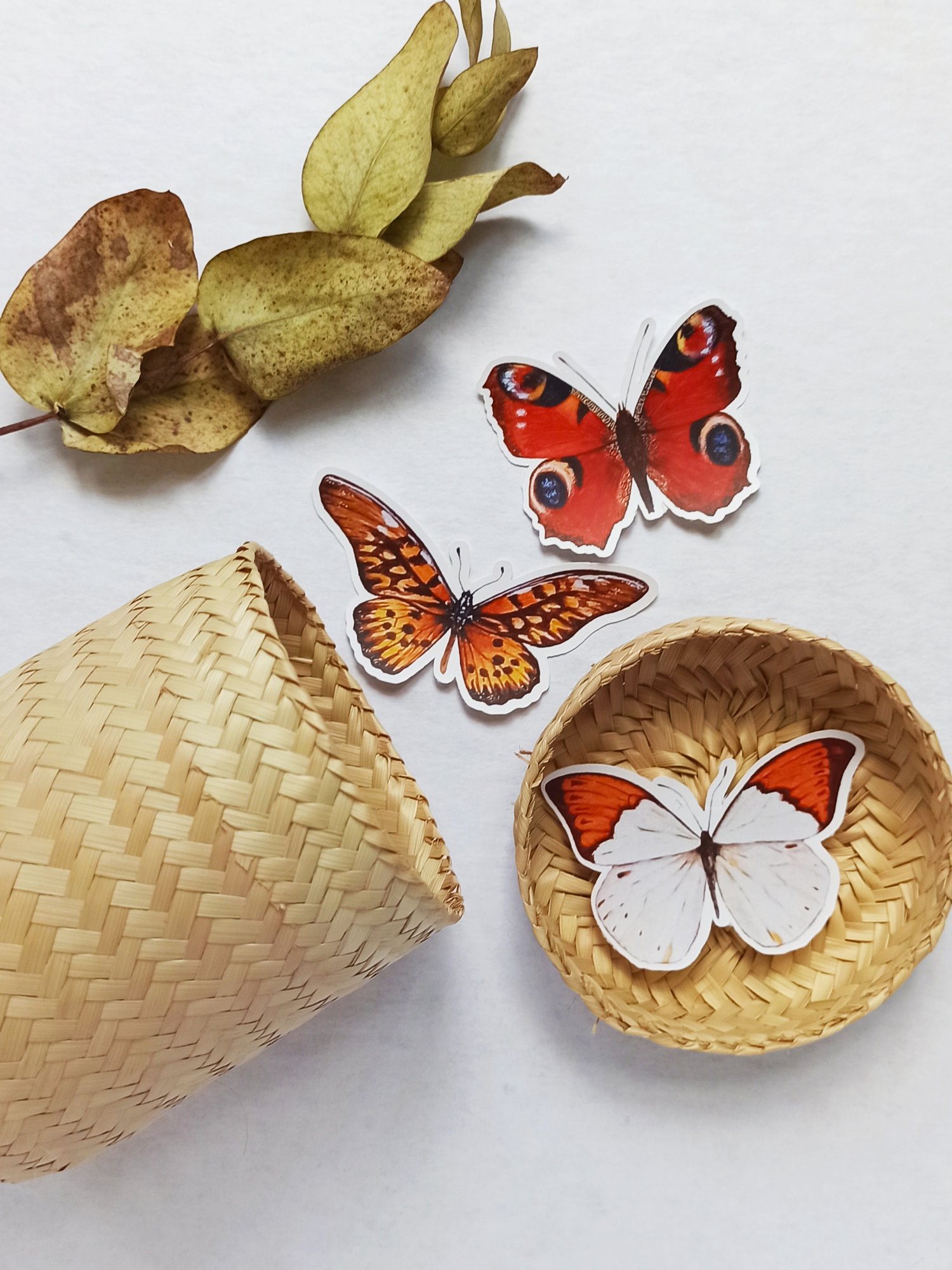 Image of Butterfly Sticker Pack
