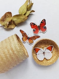 Image 1 of Butterfly Sticker Pack