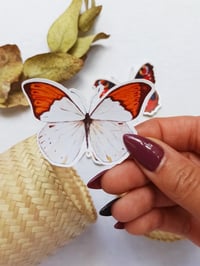 Image 3 of Butterfly Sticker Pack