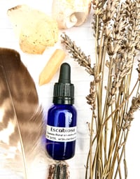 Image 3 of ESENCIA FLORAL SILVESTRE:  ESCABIOSA