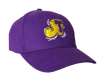 Purple "JT" Cap