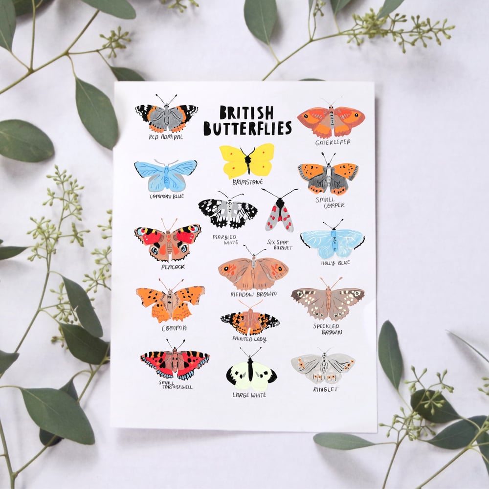 Image of British Butterflies print
