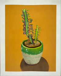 Cactus, Giclée print, limited edition of 25