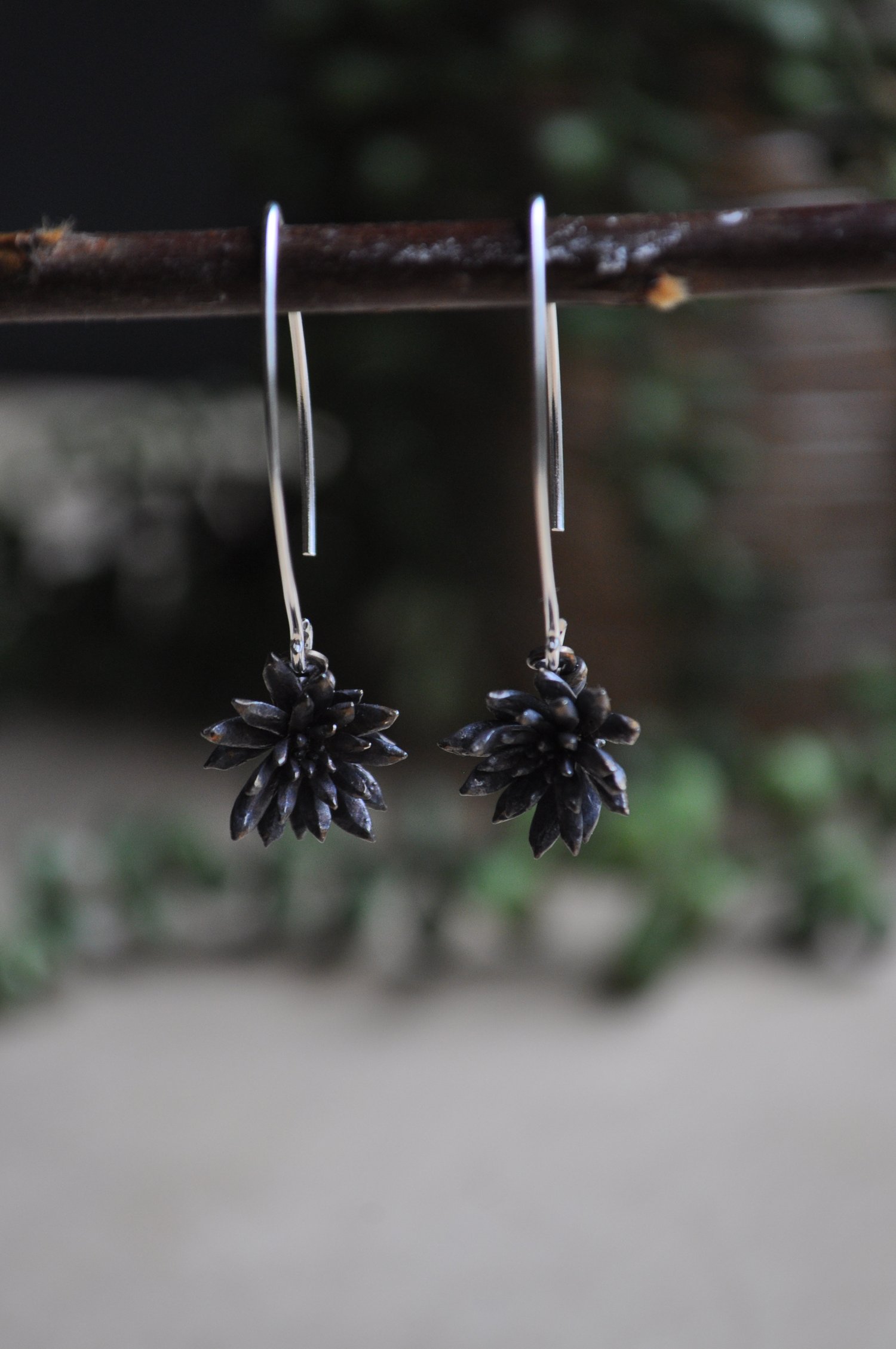 Image of One of a Kind Succulent Dangles - Spike Variety