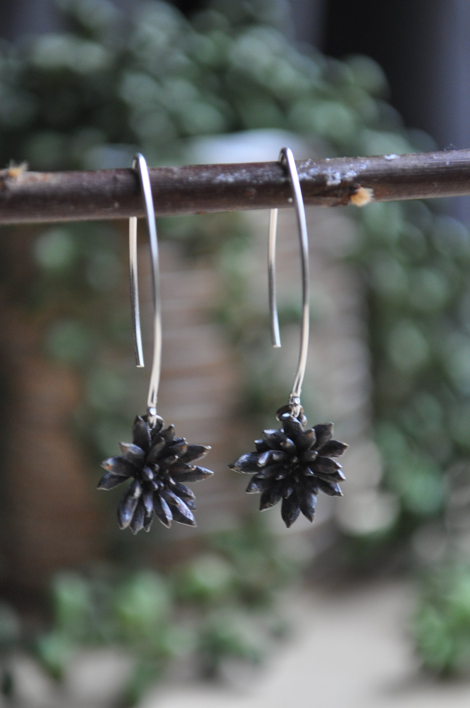 Image of One of a Kind Succulent Dangles - Spike Variety