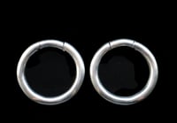 Image 2 of Plain White Brass Earweights 