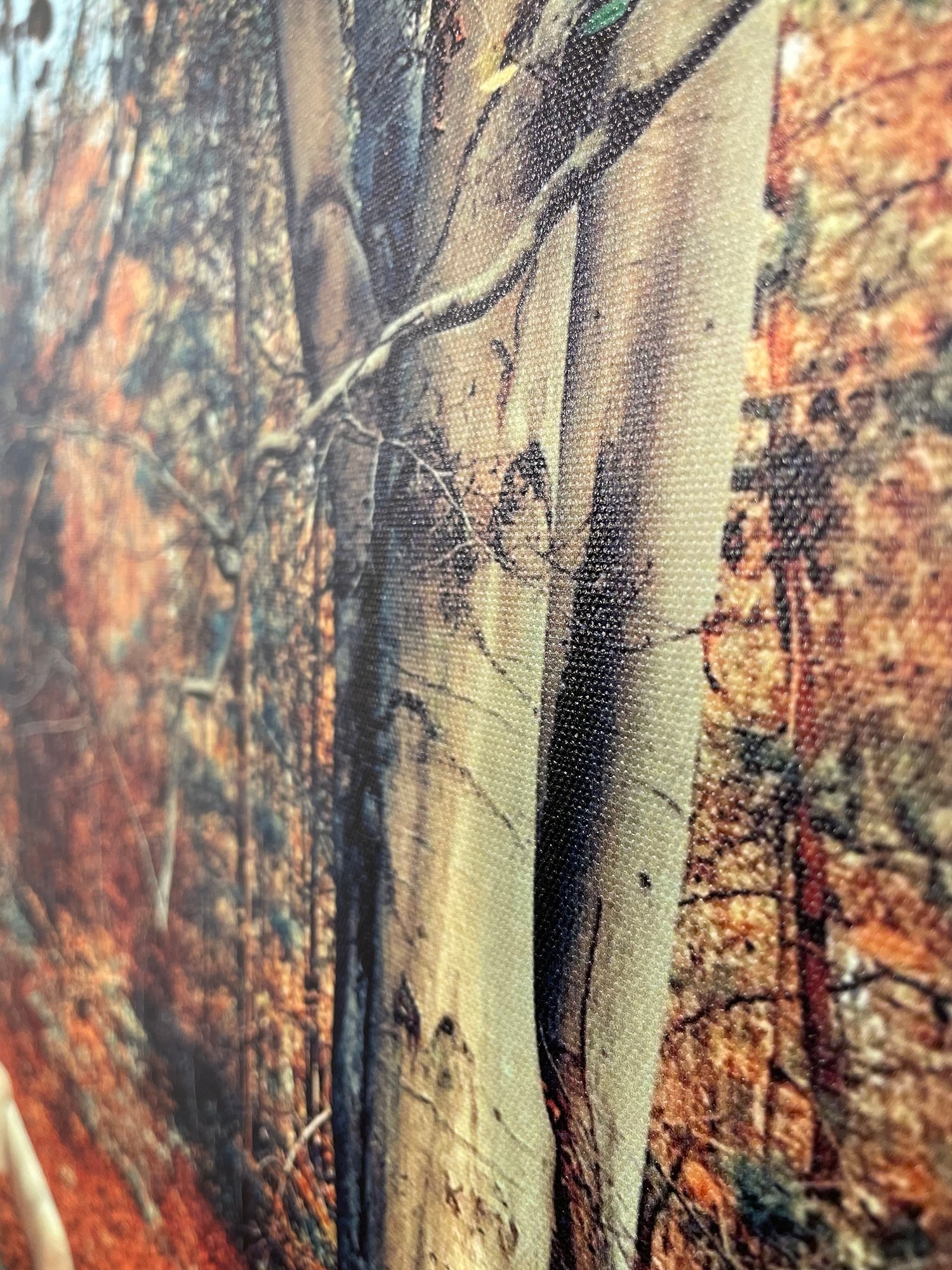 Image of Al Fresco (60x80)